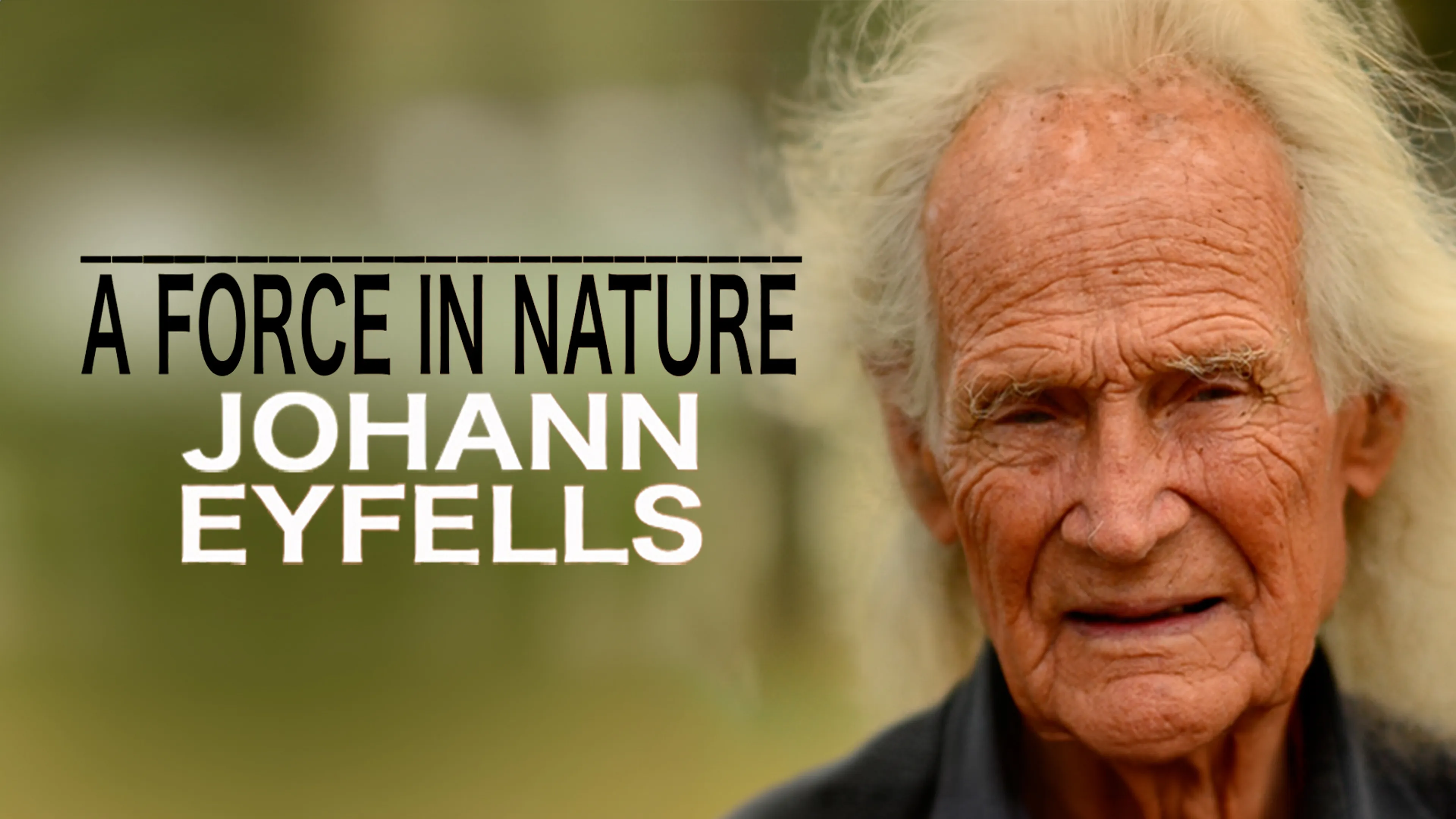 A Force in Nature: Jóhann Eyfells poster